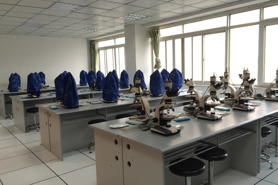 81cc2f916122f557bd11b7ad3270ce00_20200207133020_84470.jpg 81cc2f916122f557bd11b7ad3270ce00_20200207133020_84470.jpg