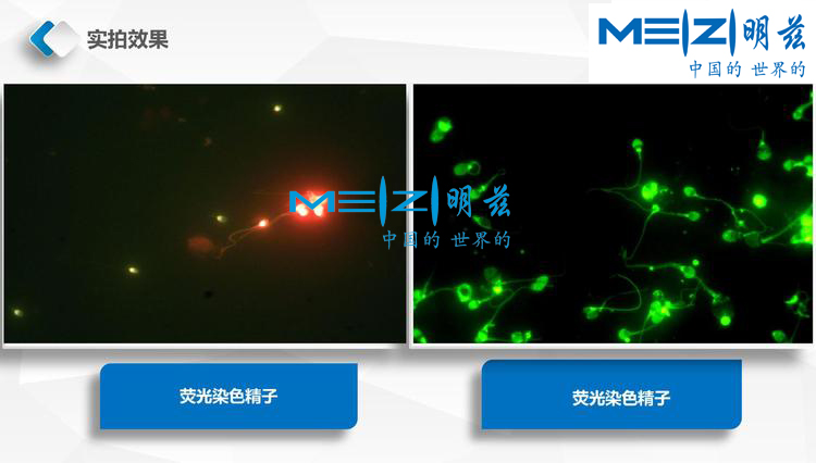 2f53bbaa671ae738f2971730069fb0c8_20200207151822_57796.jpg 2f53bbaa671ae738f2971730069fb0c8_20200207151822_57796.jpg