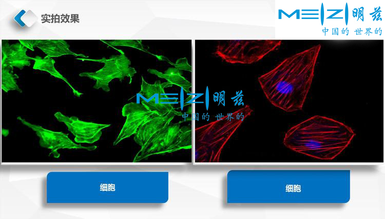 0bed15a92bd1324413f42c783f94a3d0_20200207151822_24974.jpg 0bed15a92bd1324413f42c783f94a3d0_20200207151822_24974.jpg