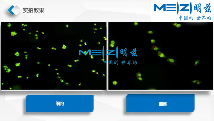 73d59f6b2cd3f0867a6e517970f5e11e_20200207154018_32285.jpg 73d59f6b2cd3f0867a6e517970f5e11e_20200207154018_32285.jpg