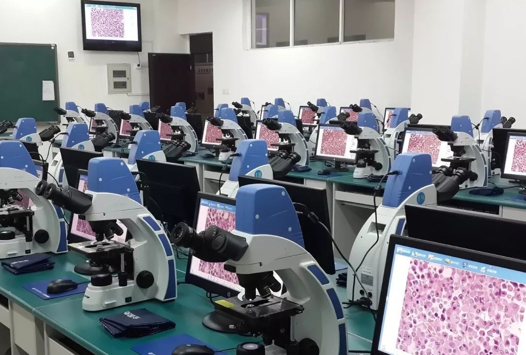 a9edc42fff858b1bcf24de5c95fd2350_20200208190234_52459.jpg a9edc42fff858b1bcf24de5c95fd2350_20200208190234_52459.jpg