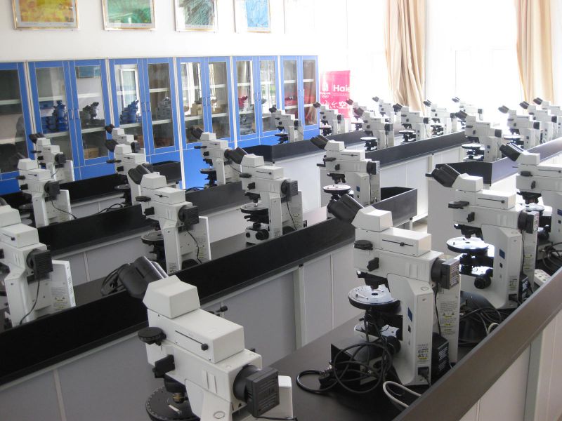 497dd103f63a822c59ca19cad71148ef_20200208185955_43153.jpg 497dd103f63a822c59ca19cad71148ef_20200208185955_43153.jpg