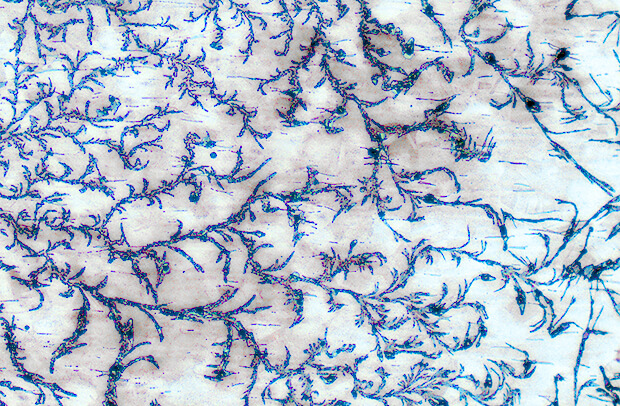 a2a1b66b0b299b306854e02575b7d150_20200304140018_87997.jpg a2a1b66b0b299b306854e02575b7d150_20200304140018_87997.jpg