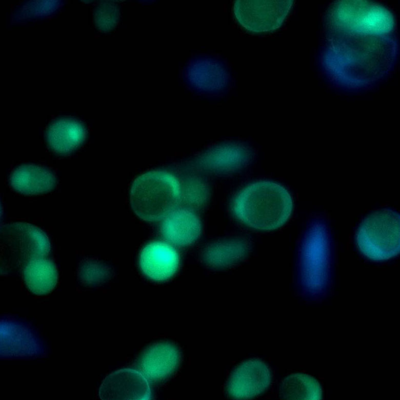 d261518b27551df0d738cdb621e9463a_20200304140249_42189.jpg d261518b27551df0d738cdb621e9463a_20200304140249_42189.jpg