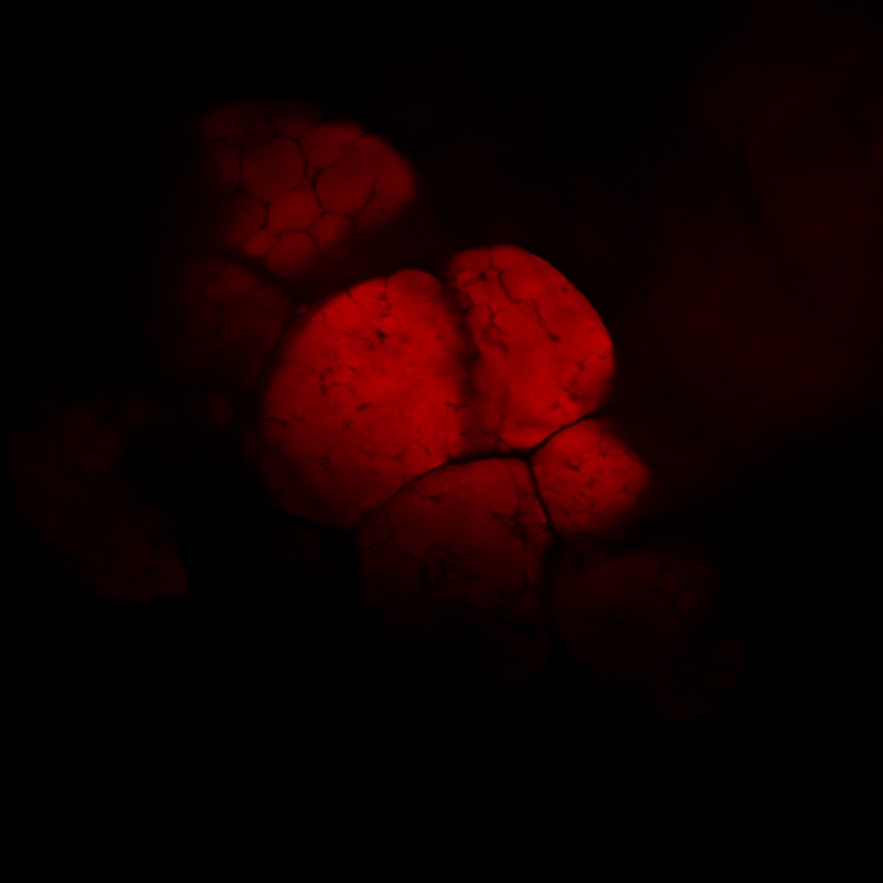 f3883eab12a7591617cf0bb1150b5590_20200304140250_67148.jpg f3883eab12a7591617cf0bb1150b5590_20200304140250_67148.jpg