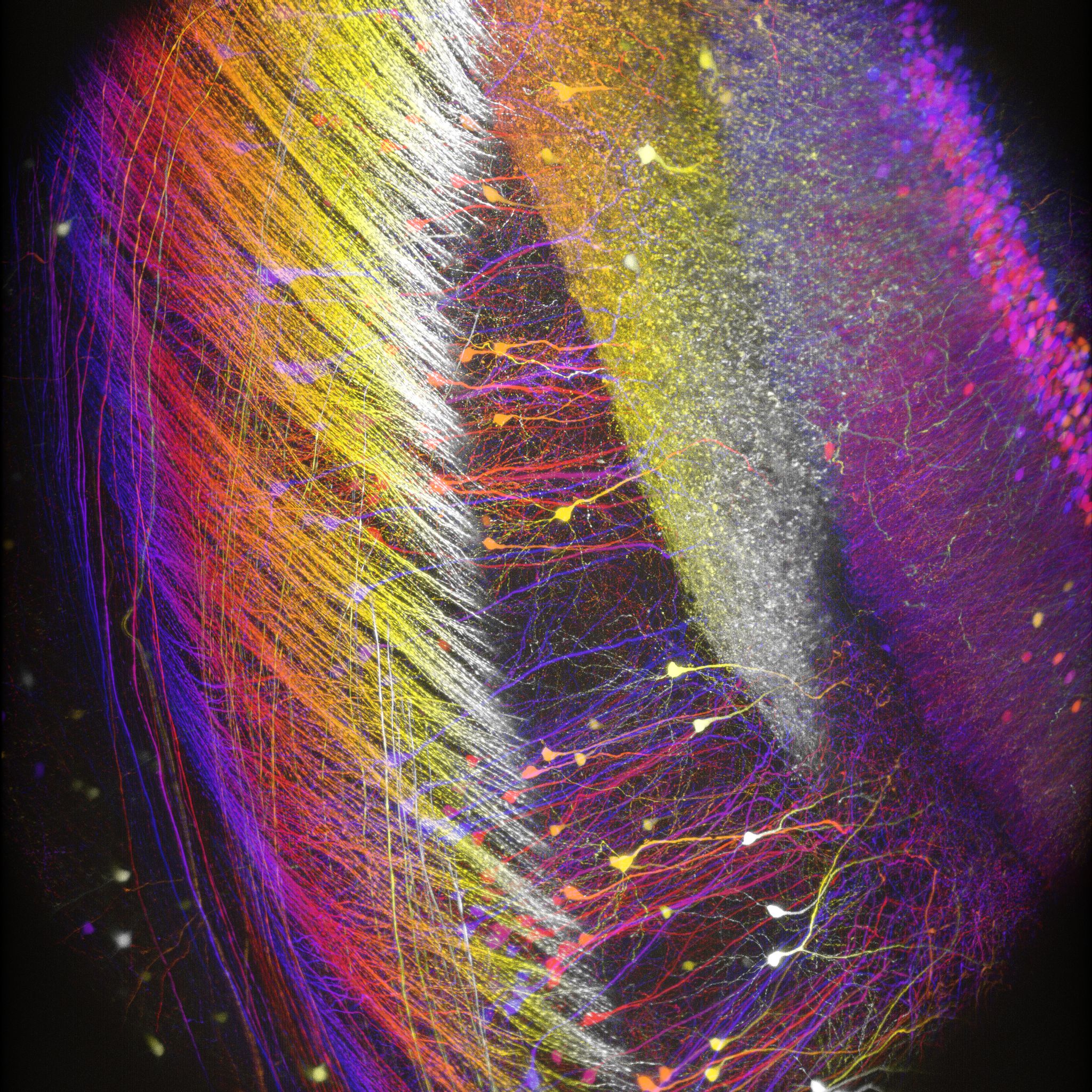 b6ec1c674f2018468642cc4a3191a369_20200304140406_18659.jpg b6ec1c674f2018468642cc4a3191a369_20200304140406_18659.jpg