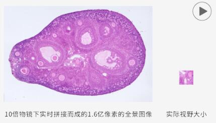 d827b8fe00712a65c8fb6bd2923b48b2_20200304142943_62602.jpg d827b8fe00712a65c8fb6bd2923b48b2_20200304142943_62602.jpg