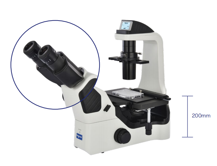 d7a85733af8b696c9bde31e7be647c9d_20200211125347_46438.png d7a85733af8b696c9bde31e7be647c9d_20200211125347_46438.png