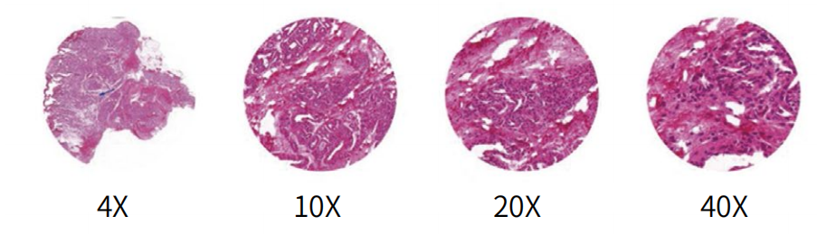 35d82c45493d84ef763eb3173a42d971_20200211125508_29813.png 35d82c45493d84ef763eb3173a42d971_20200211125508_29813.png