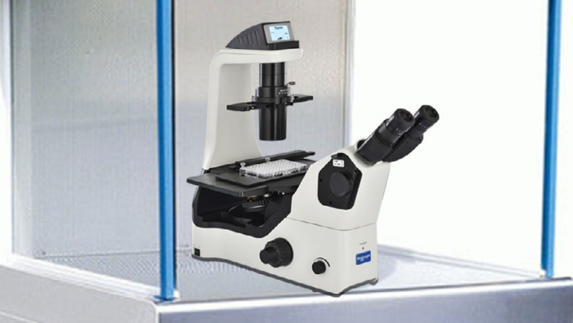 a218b44005c046071c301773e7c7e18e_20200211125803_67895.png a218b44005c046071c301773e7c7e18e_20200211125803_67895.png