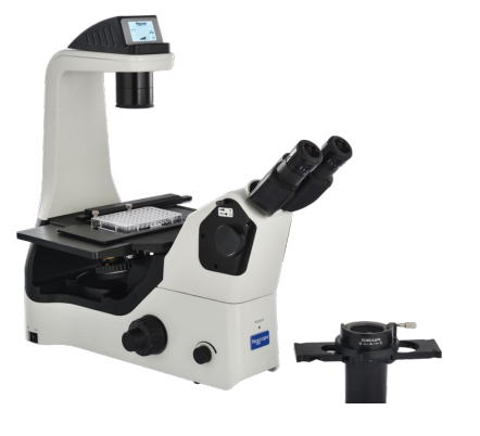 11dc6abe1de6d24f0b6b9400c3ba5a13_20200211125903_52810.png 11dc6abe1de6d24f0b6b9400c3ba5a13_20200211125903_52810.png