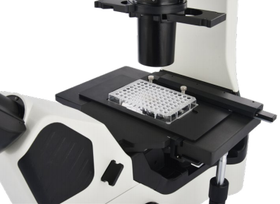 d00d9cef36df94df4bc2cfb99970247c_20200211130002_47515.png d00d9cef36df94df4bc2cfb99970247c_20200211130002_47515.png