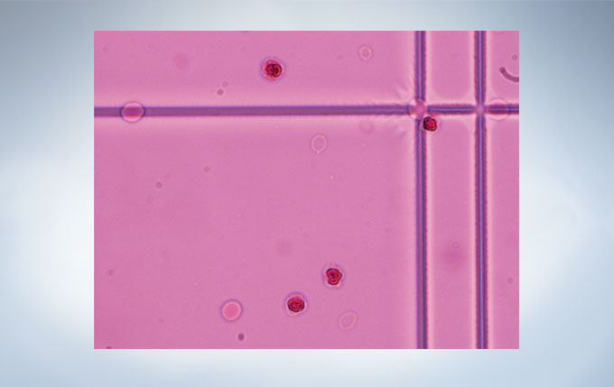 786905532ed512c30215eb90a5db47d5_20200213163240_60657.jpg 786905532ed512c30215eb90a5db47d5_20200213163240_60657.jpg