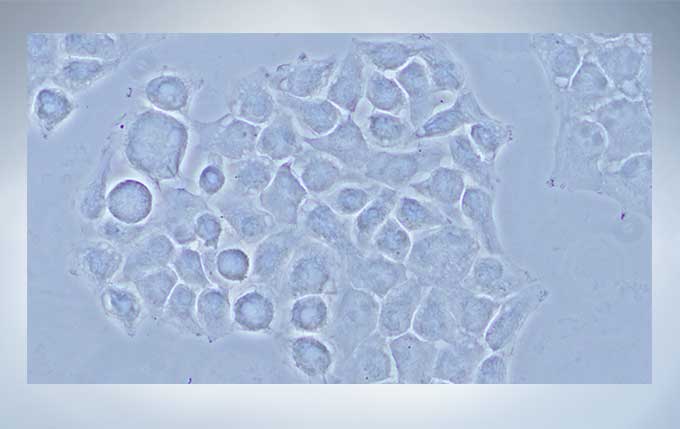 d6439b1fd7ea29a632d8786ceff99928_20200213163330_21499.jpg d6439b1fd7ea29a632d8786ceff99928_20200213163330_21499.jpg