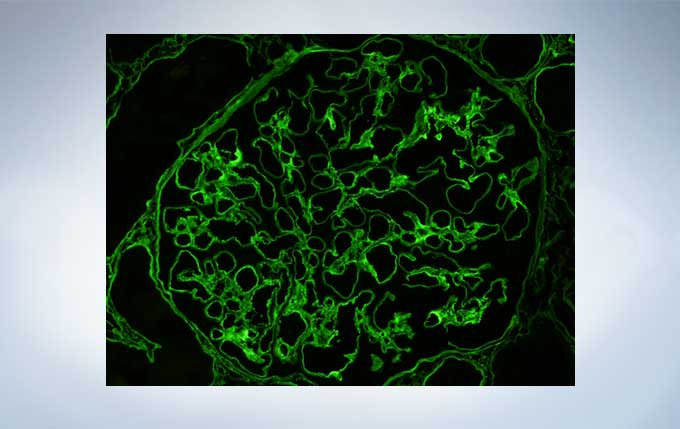 c915c0e6a1e0428d6dc091173296da0f_20200213163347_61380.jpg c915c0e6a1e0428d6dc091173296da0f_20200213163347_61380.jpg