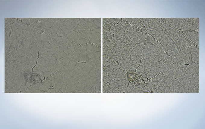 c2831f67da0fbd7a3816c35ed7ed8bf8_20200213155754_88788.jpg c2831f67da0fbd7a3816c35ed7ed8bf8_20200213155754_88788.jpg