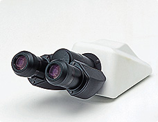 365ba3e5d30ac5f058fdb32792526513_20200213124448_97333.jpg 365ba3e5d30ac5f058fdb32792526513_20200213124448_97333.jpg